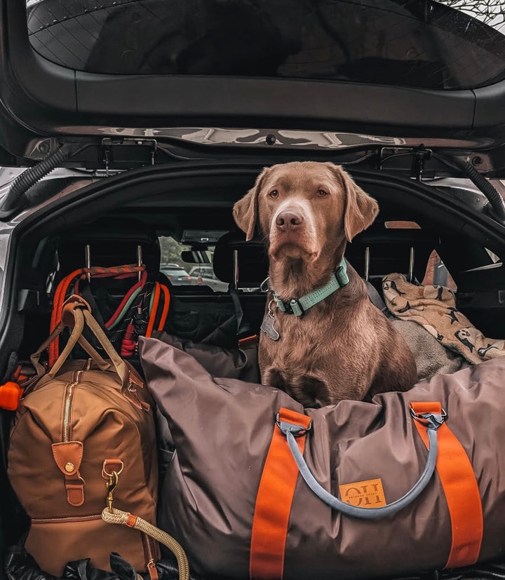 Outward Hound Luxury Large Dog Travel Seat