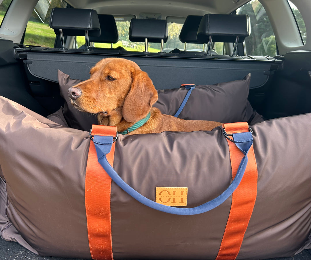 Outward hound dog deals car seat