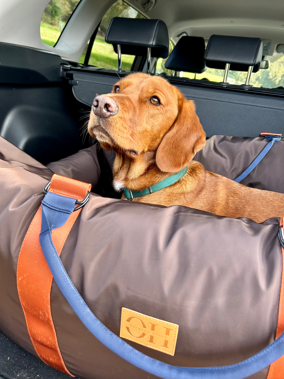 Outward hound deals pet travel gear